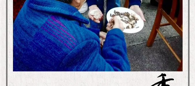 情系金秋  愛在重陽(yáng)