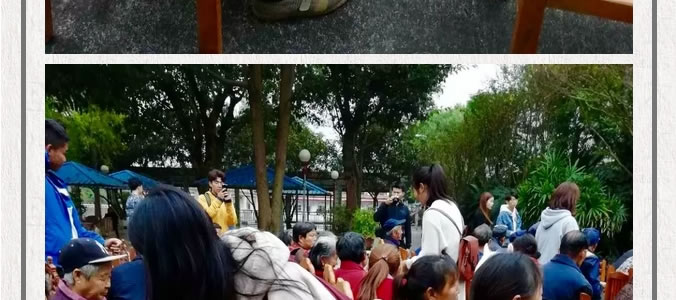 情系金秋  愛在重陽(yáng)